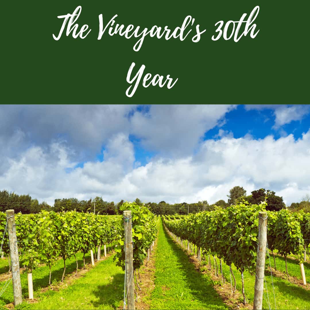 Nutbourne Vineyard's is turning 30!